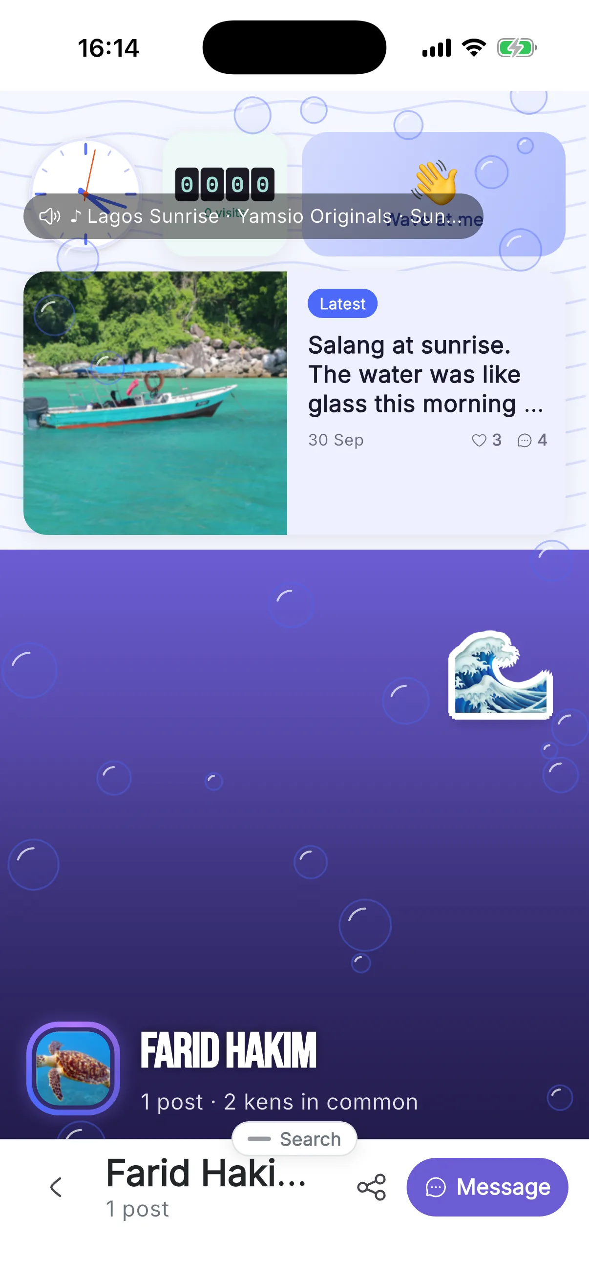 Visiting a ken’s page: waves, bubbles and their song playing